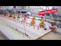 गर्म बिक्री स्वचालित चिकन कॉप डिजाइन पोल्ट्री फार्म उपकरण