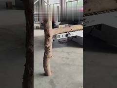 MGJY10-30WS डबल स्पिंडल लॉग मल्टीपल रिप देखा