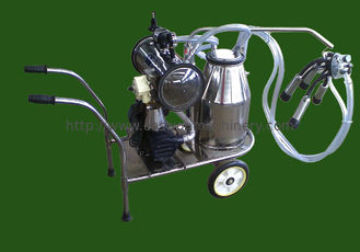 गायों के लिए सिंगल बकेट 12cows / H गाय मिल्किंग मशीन 50Kpa इलेक्ट्रिक